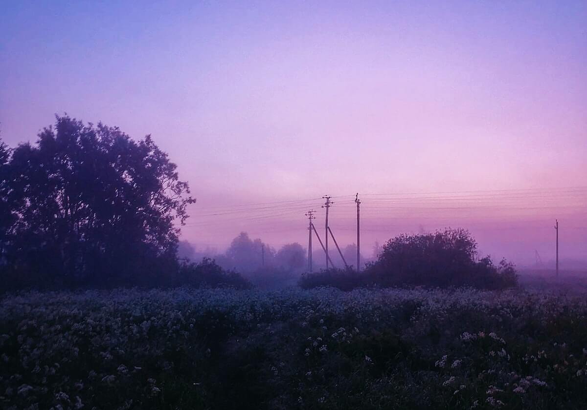 李京龙社媒分享西雅图美食日常：海产城市当然要吃当地新鲜生蚝